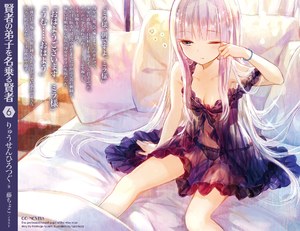 藤ちょこ,賢者の弟子を名乗る賢者
