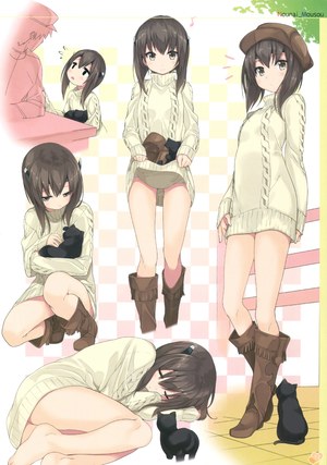 ぎん太郎,艦隊これくしょん,大凤