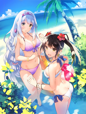 艦隊これくしょん,翔鹤号,瑞鹤号