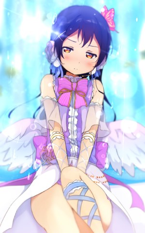LoveLive!,桜ふみ,園田海未,翅膀